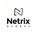 Netrix Global-logo-detail