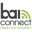 BAI Connect-logo-detail
